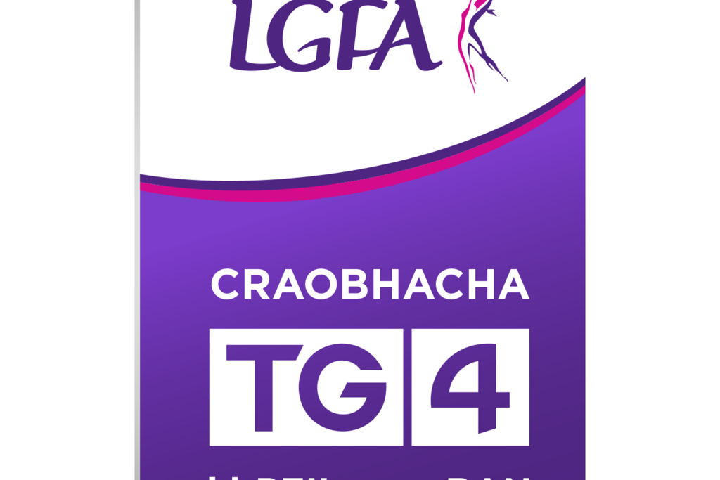 TG4 All-Ireland Intermediate Championship-Group 4 Rd 2 -Fermanagh v Leitrim