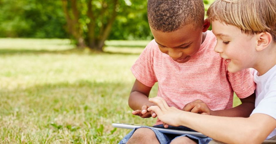 Behaviors, Stress & the Brain - Oh My!