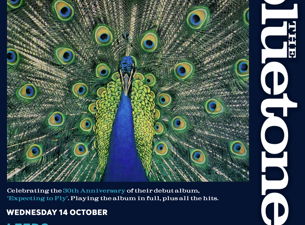 The Bluetones
