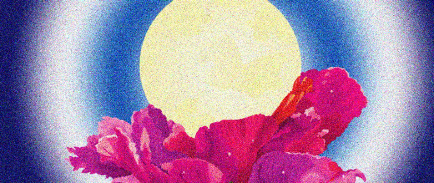 May Flower Moon Virtual Ritual – Conscious City Guide