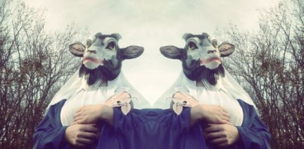 THE DEVIL & THE UNIVERSE