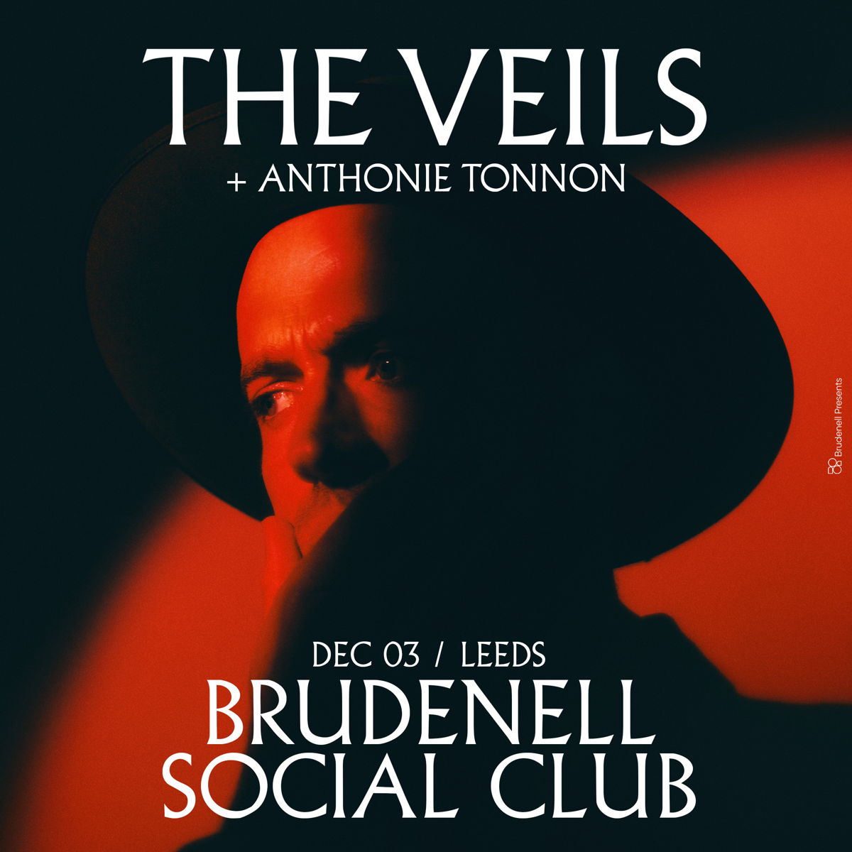 The Veils