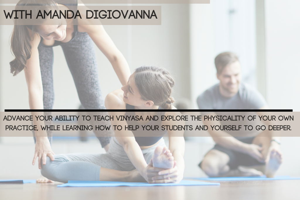 Hands On Assist Workshop for Yoga Teachers with Amanda
