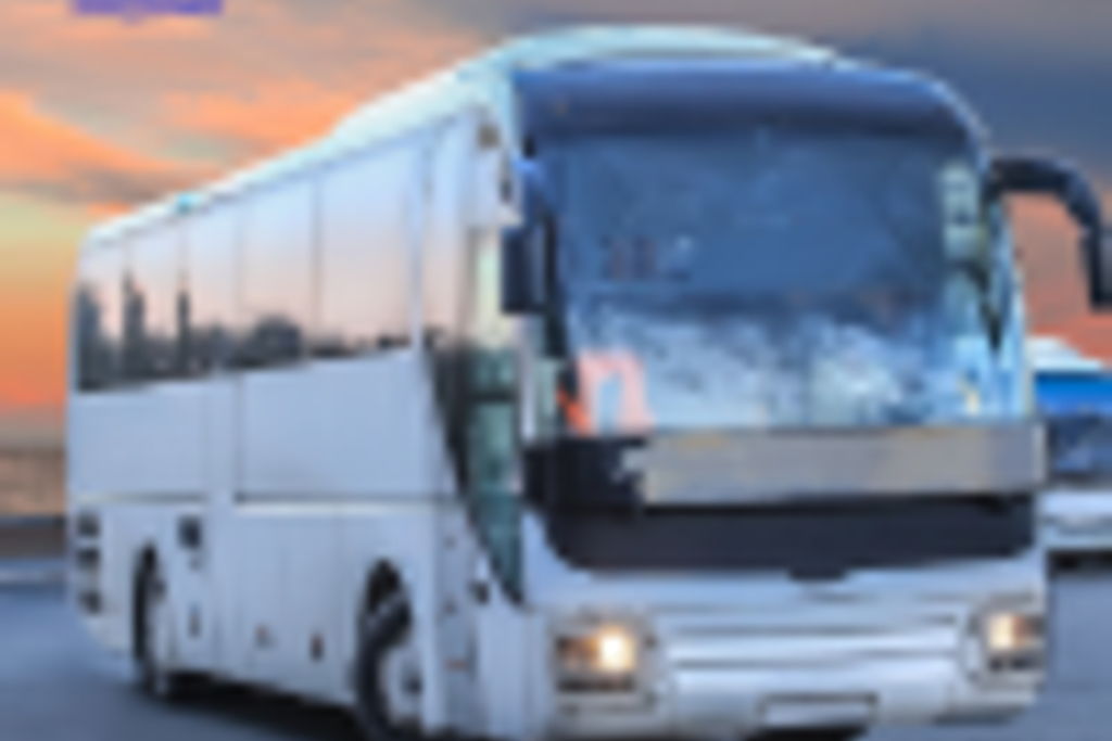 Logo Autobuses Lanzadera Solaris Nerja