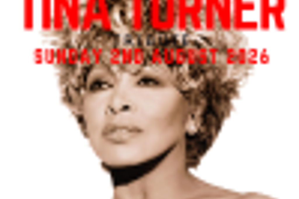 Tina Turner Tribute Night