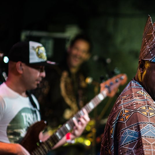 Dele Sosimi Afrobeat Orchestra