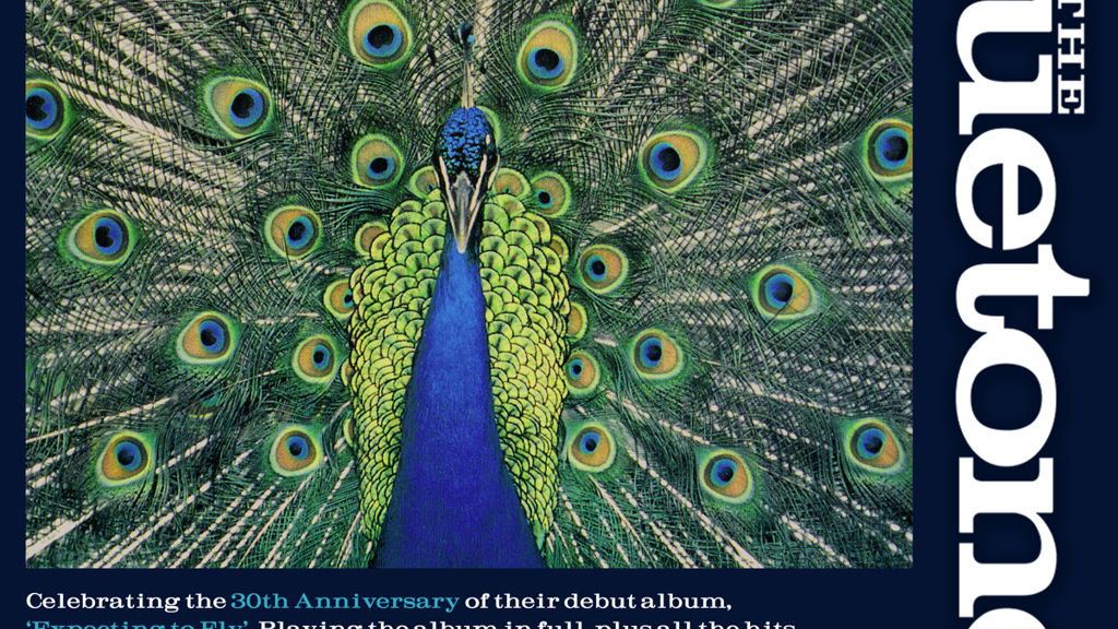 The Bluetones