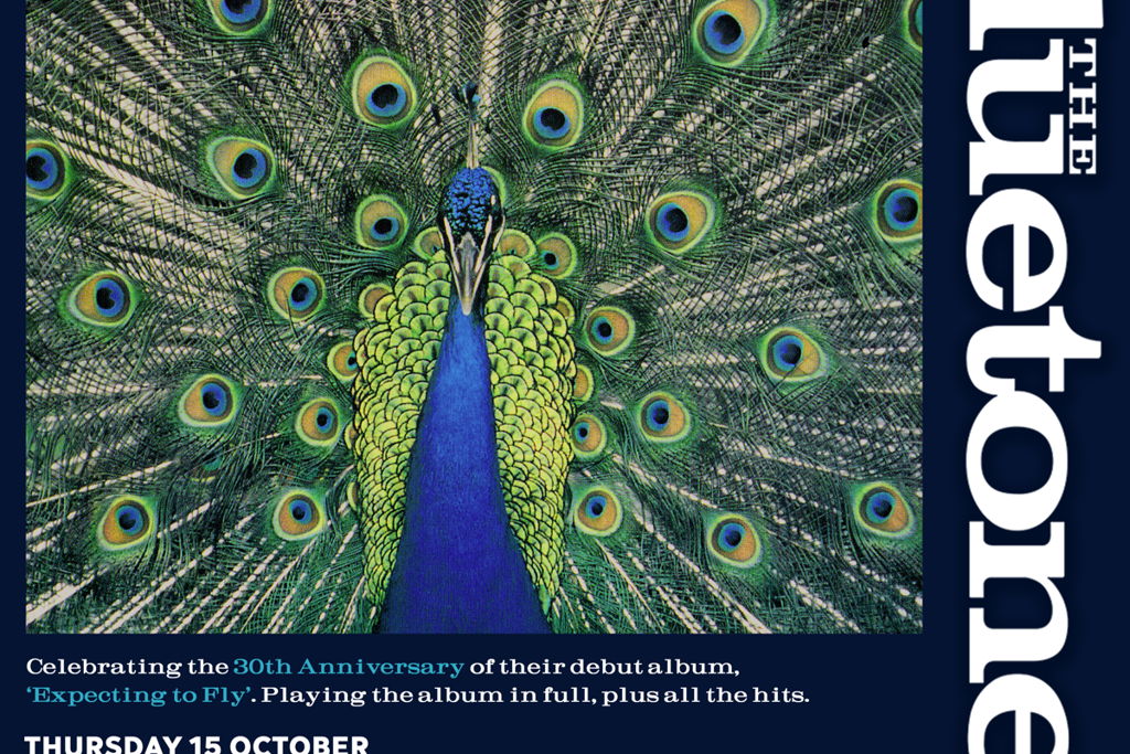 The Bluetones