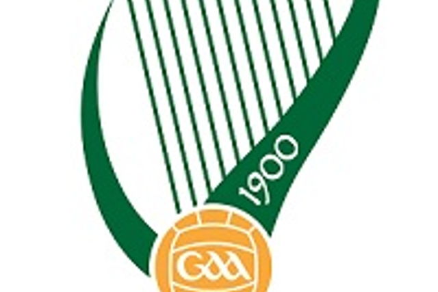 Leinster PPS Senior Hurling 'B' Final - Banagher College v Heywood C.S. -  Evvnt Events