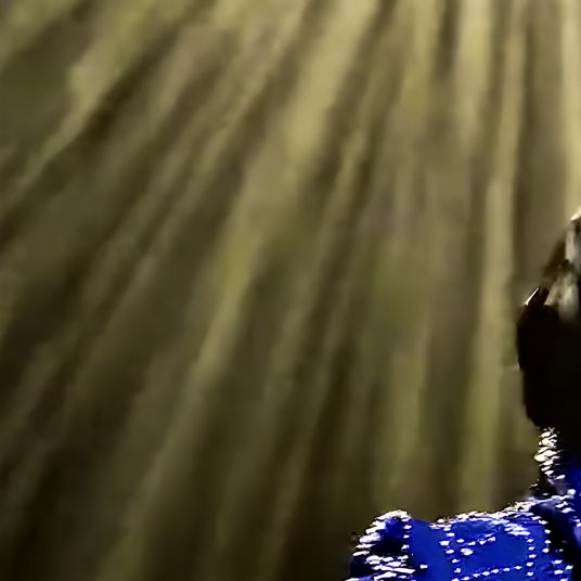 Elvis (Ciaran Houlihan) - Swords - Jan 16