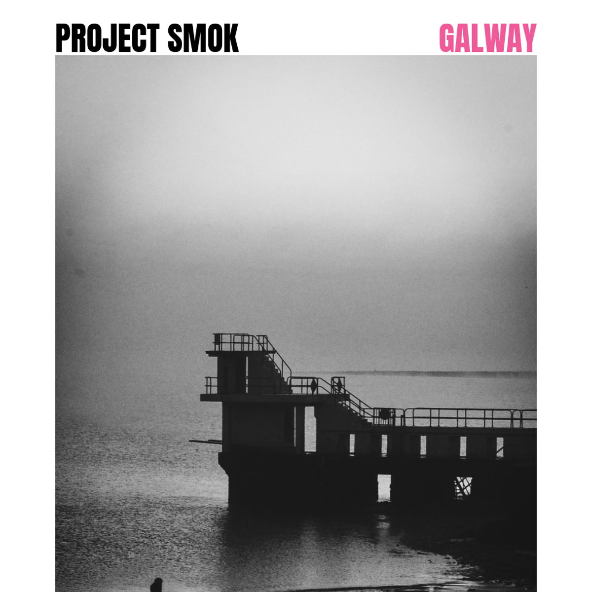 Project Smok