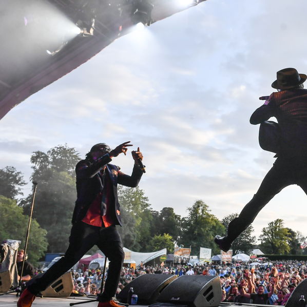 Dub Pistols