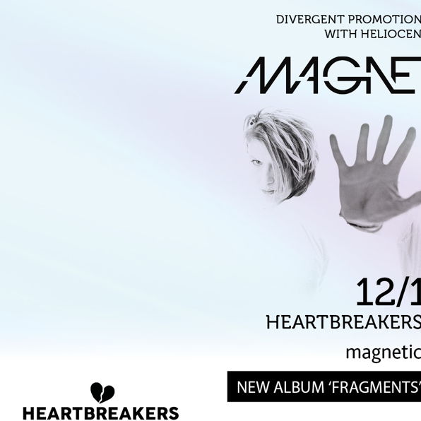 Magnetic Skies