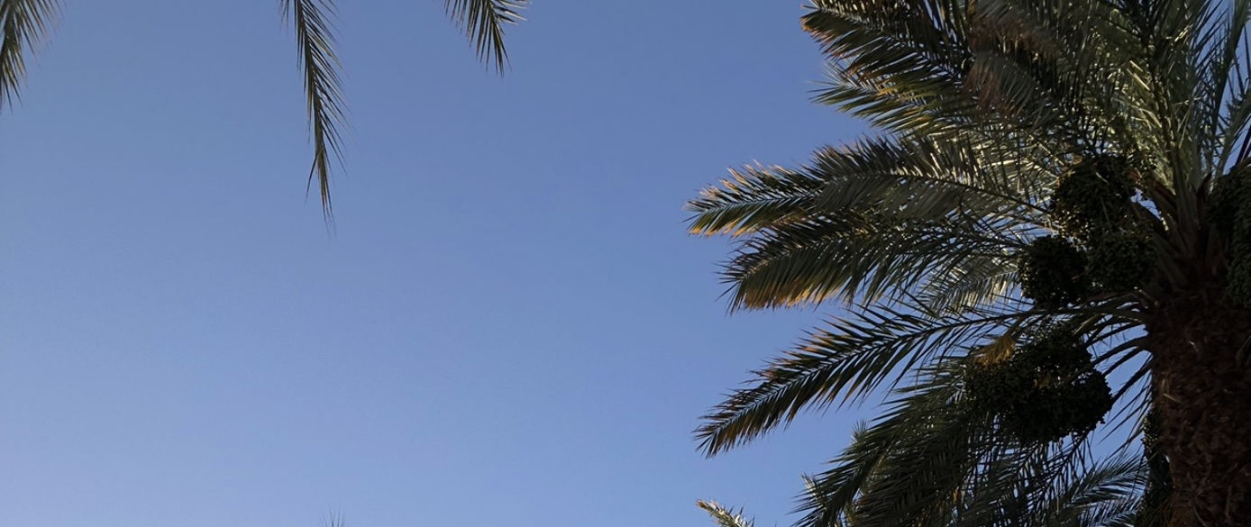 Summer Home Detox Series Conscious City Guide