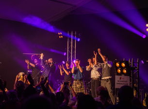 Peatbog Faeries