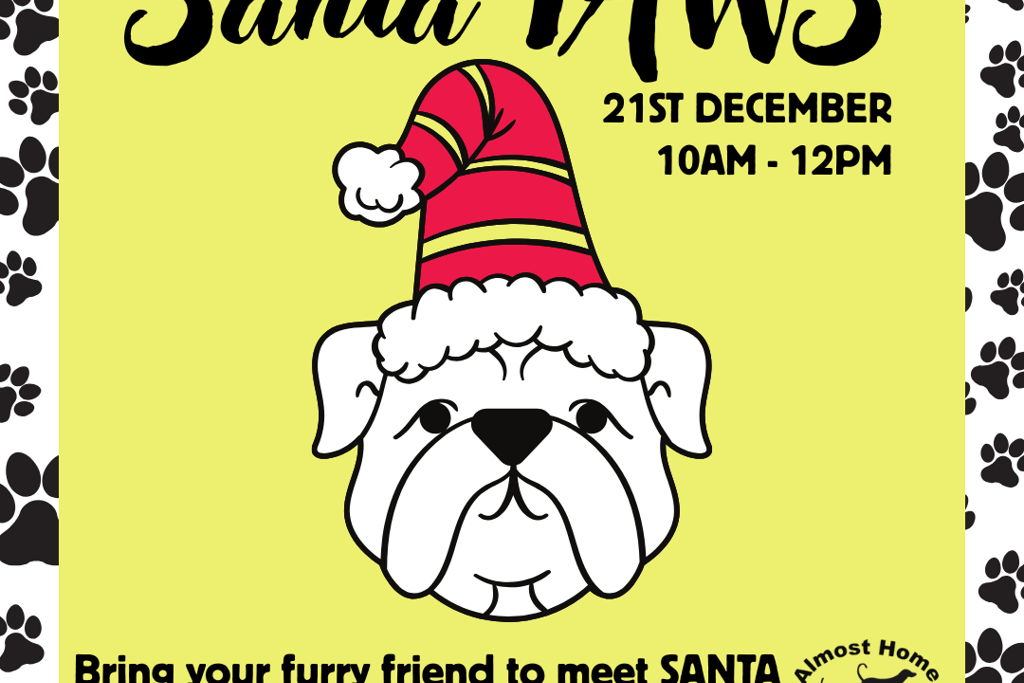 Santa Paws - In Support of Almost Home Animal Rescue NI Event Title Pic