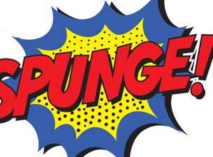 Spunge