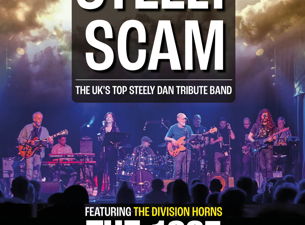 Steely Scam