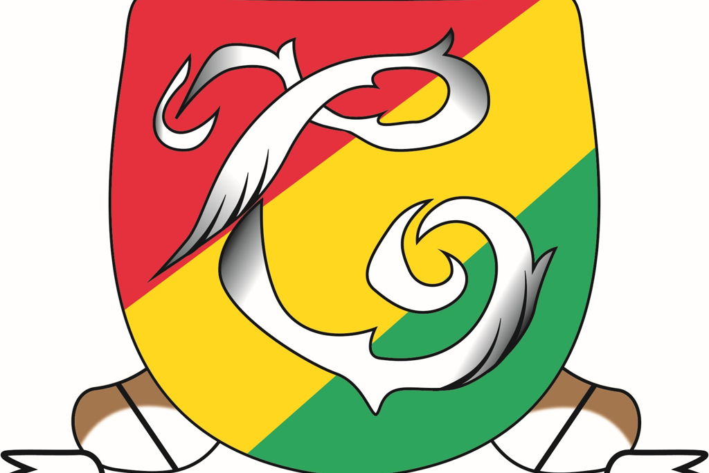 Carlow Camogie School Of Excellence