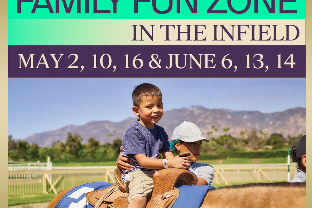 Family Fun Zone