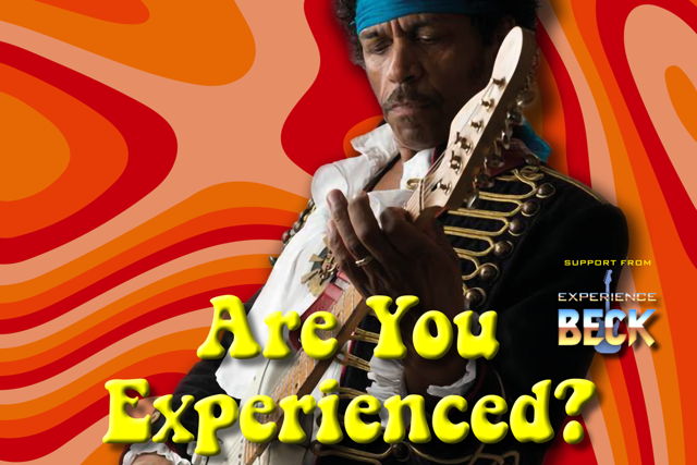 Are You Experienced