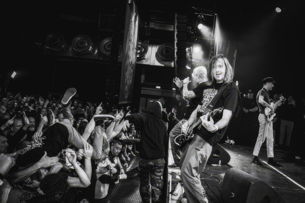 GORILLA BISCUITS