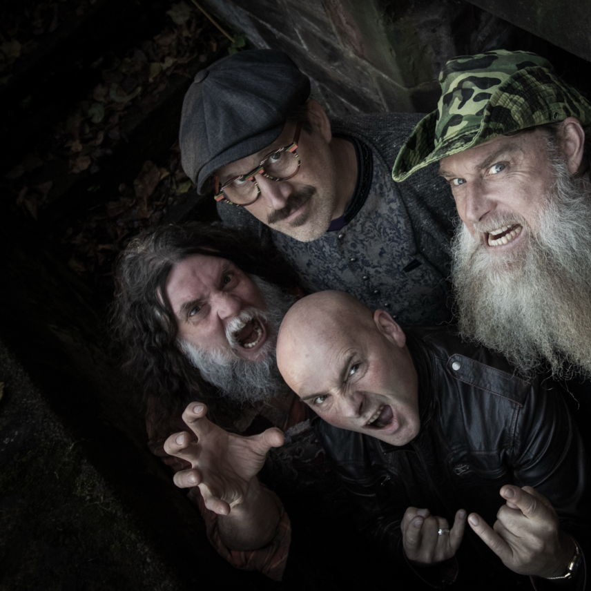 Hayseed Dixie