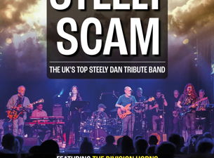 Steely Scam