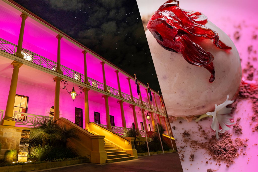 An Evening at Parliament House, Dining with History