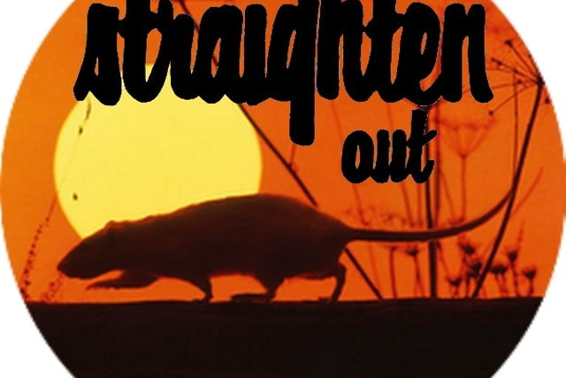Straighten Out - The Stranglers Tribute