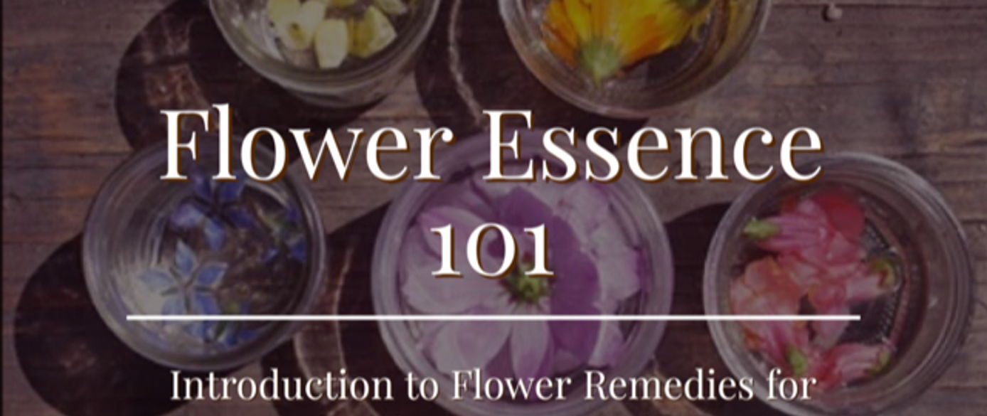 Flower Essence 101 Flower Remedies for Mental & Emotional Wellbeing