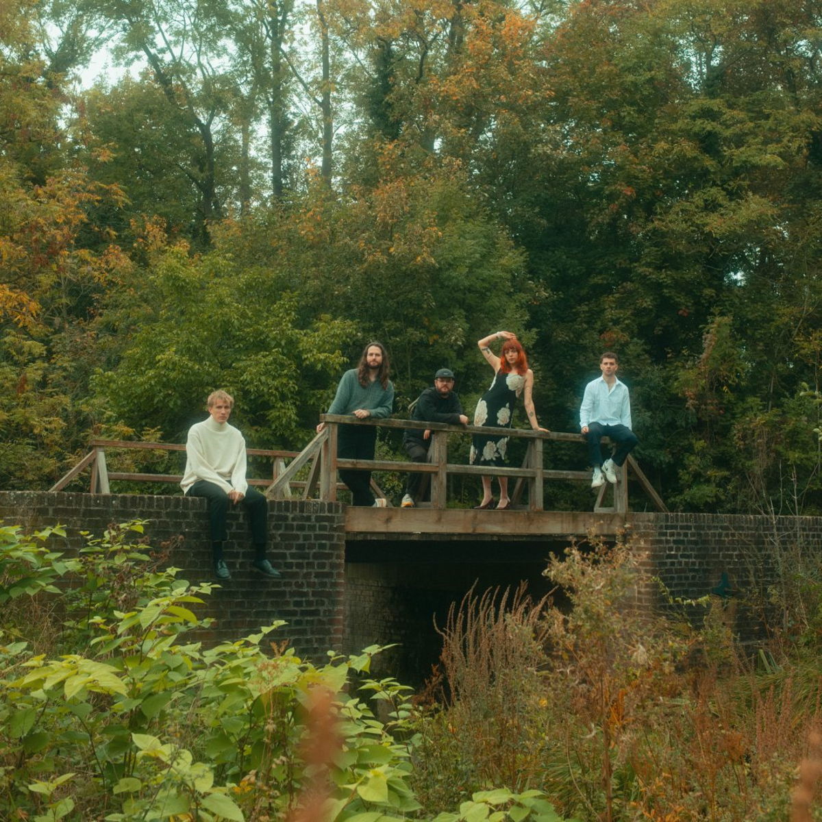 DITZ (UK)
