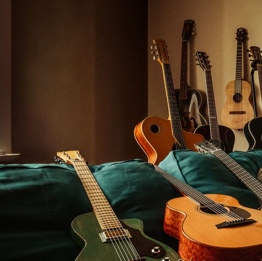 January Blues Festival: ERIC BIBB