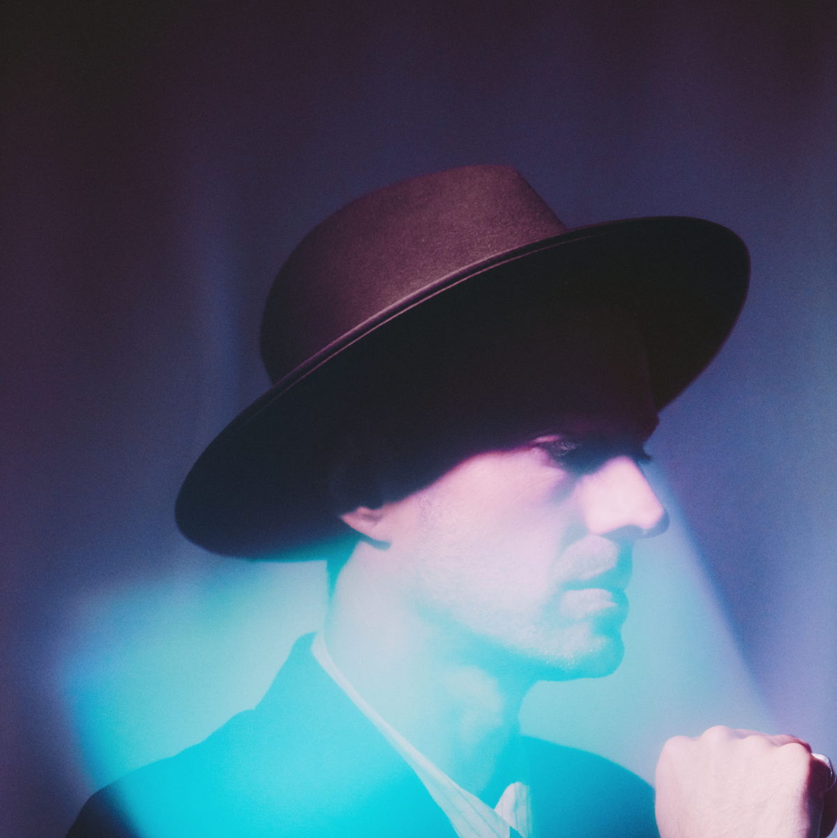 The Veils