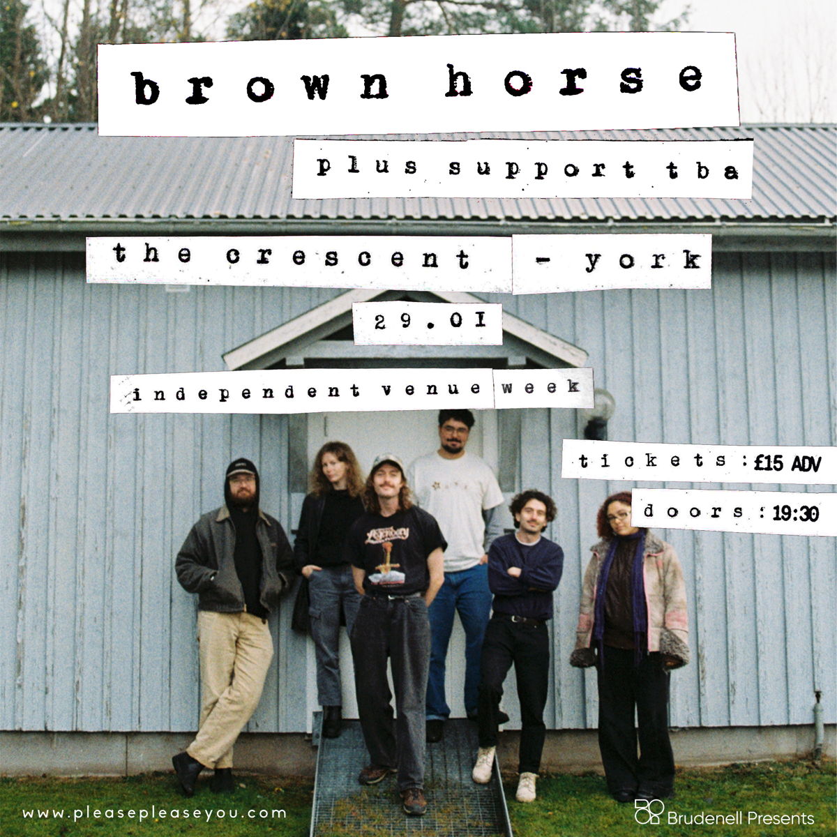 Brown Horse