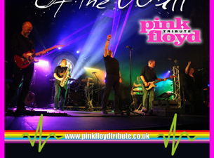 PINK FLOYD Tribute - DARK SIDE OF THE WALL